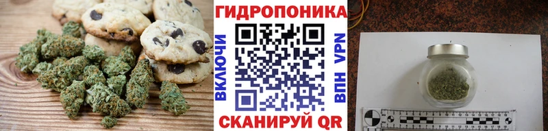 Купить где  Беломорск  Cannafood конопля 