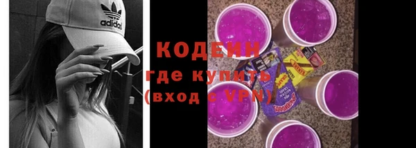 шишки Белокуриха