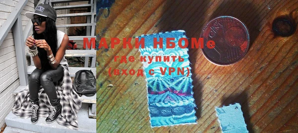 шишки Белокуриха
