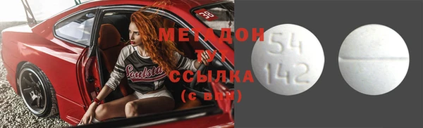 шишки Белокуриха