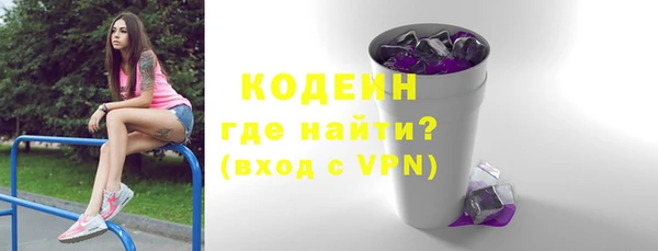 шишки Белокуриха