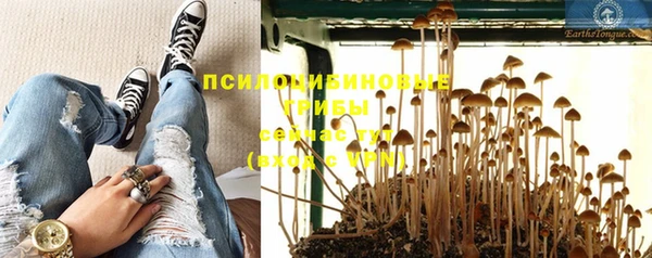шишки Белокуриха