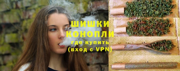 шишки Белокуриха