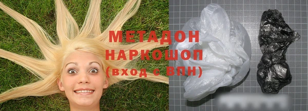 шишки Белокуриха