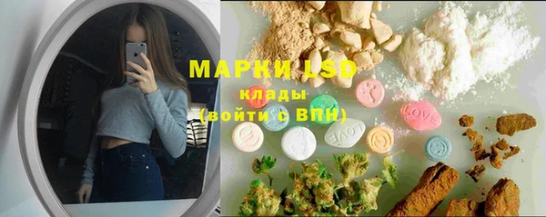 шишки Белокуриха