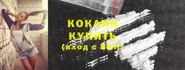 шишки Белокуриха